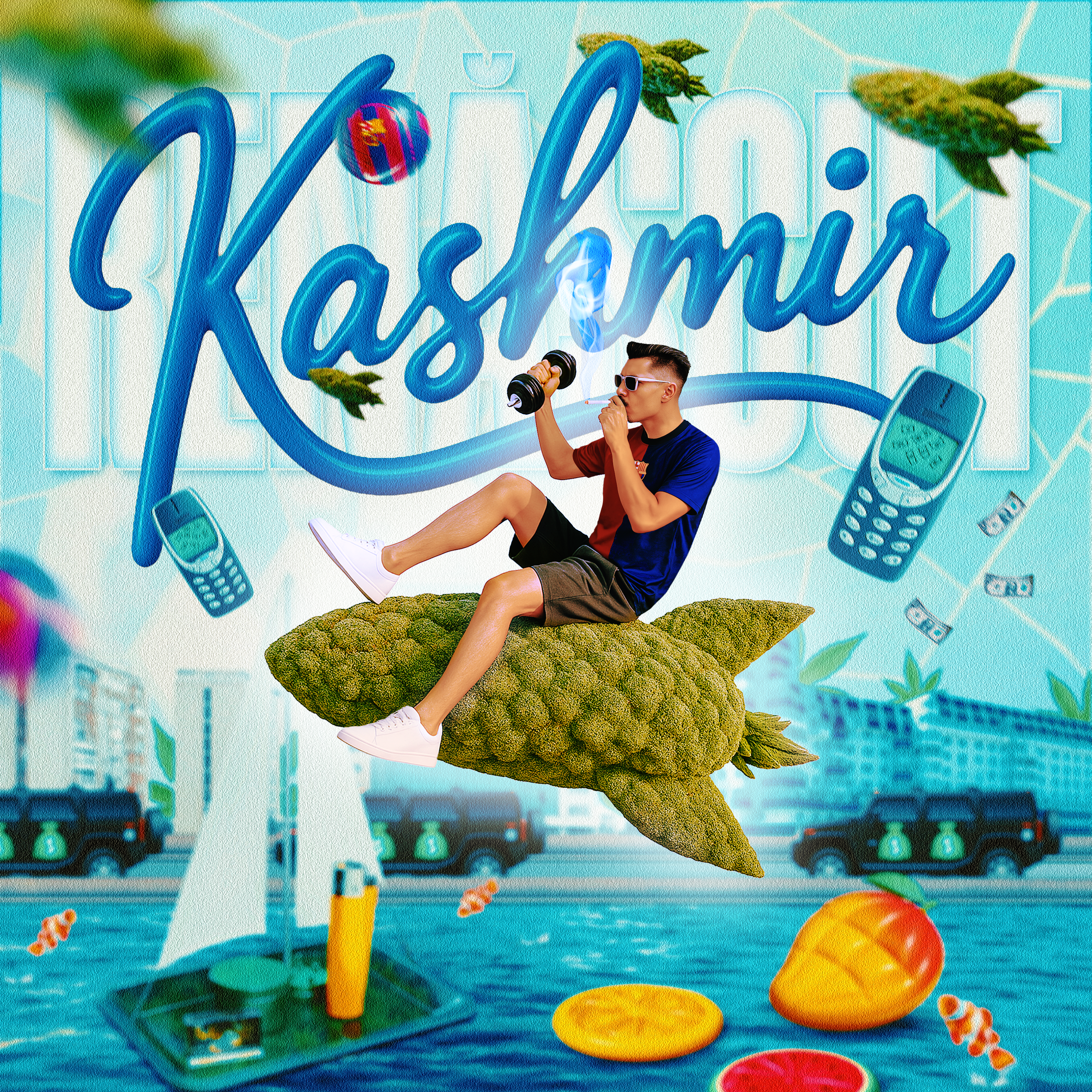 Kashmir - Renascut